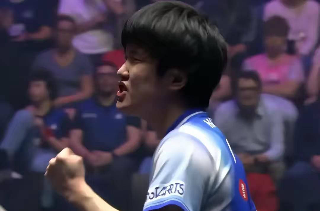 我为何希望张本智和赢得比赛？