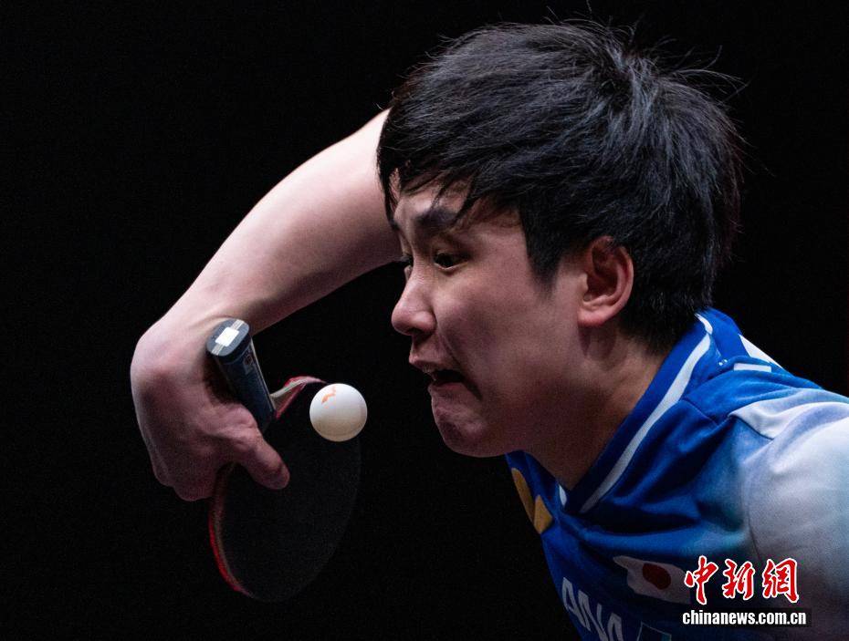 WTT香港总决赛收官