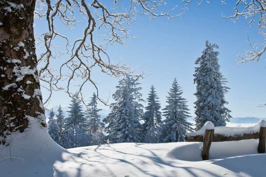 麻将胡了2-电竞比赛吸引全球年轻观众